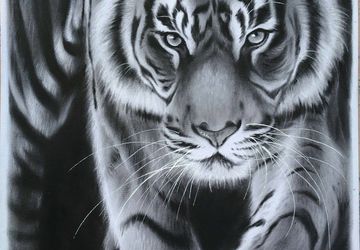 Tiger original drawing, Oil on paper