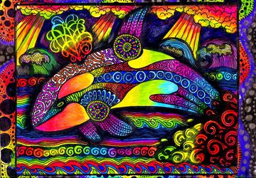 Colors of the Orca