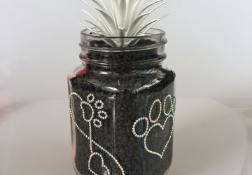 Decorative Drinking Jar