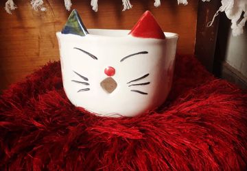 Cat bowl