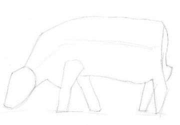 How To Draw A Cow