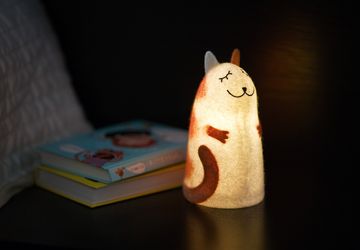 Red Cat felt lamp