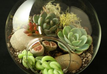 DIY Succulent Terrarium Class