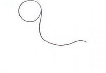 How To Draw A Cartoon Horse