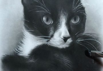 Custom pet portrait from photo, Oil on paper
