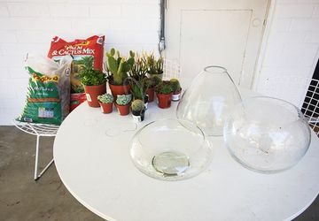 How To Make A Succulent Terrarium