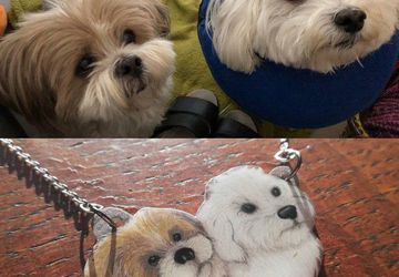 Custom pet jewelry, custom necklace, pet necklace, pet jewelry, pet drawing, custom necklace, custom jewelry, shrink plastic, handdrawn pet art, handdrawn jewelry