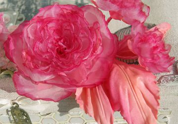 2 in 1: hairpin and broach