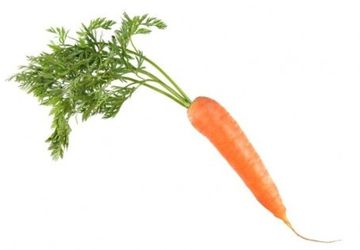 How To Draw A Carrot