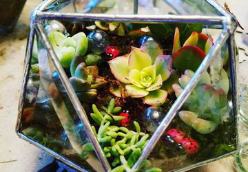 Clear Bevel triangle sphere with succulents