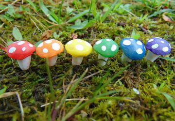 Rainbow Fairy Garden Mushrooms
