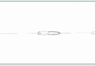 How To Draw A Butterfly