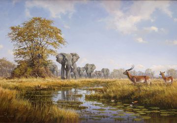 A painting "Savanna"