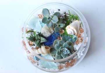 GTB Brunch x Craft - Terrarium Building Workshop