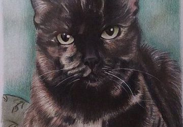 Custom pet colored pencils drawing from your photo