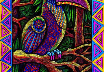 Colors of the Toucan
