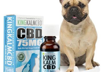CBD Oil for Pets | French Bulldogs | Shop Online