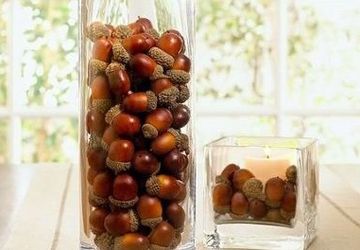 Use Acorns For Crafting