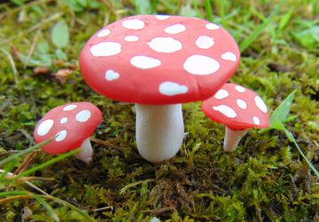 Fairy Garden Table and Chairs Set