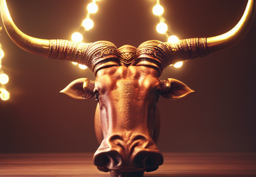 How to make a gift for Taurus