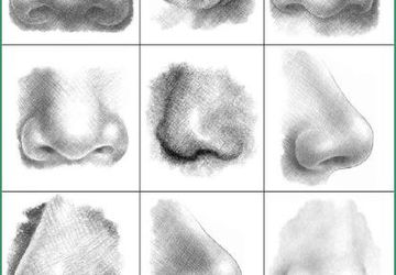 How To Draw A Human Nose