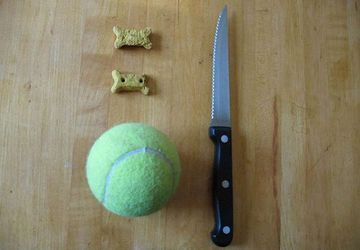 How To Make Dog Toys