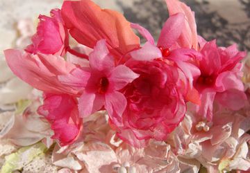 Cherry Rose wristlet