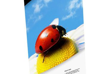 Buy Metro Table Top Banner Stand | Trade Show Display Pros