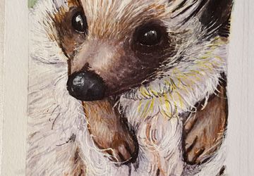 2"x3" Hand-painted Pet Portraits | Gift for Pet Owner, Animal Lover, Cat Lover, Dog Lover, Horse Lover | Pet Memorial, Pet Remembrance, Pet Loss