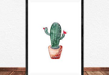 Little cactus