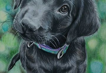 Pet/Dog/Cat Custom portrait from photo