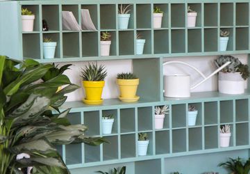 DIY Succulent Storage