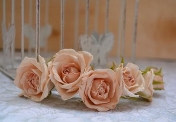 Headband with ivory-colored roses