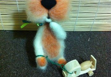 Saint-Pete's cat with a car