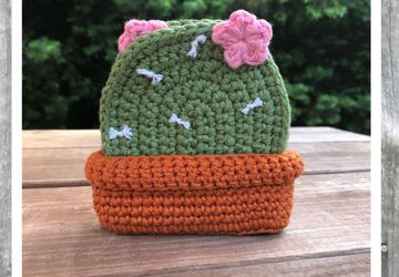 Cactus Coaster Set