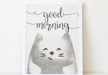 Cat nursery, animal nursery