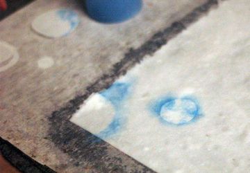 Papermaking Basic Sheet Forming & Pulp Painting