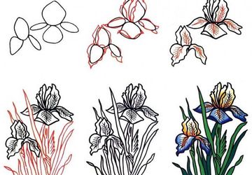 How To Draw A Simple Flower
