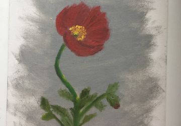 Poppy