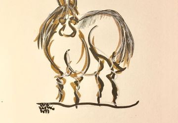 Horse/Mule/Donkey