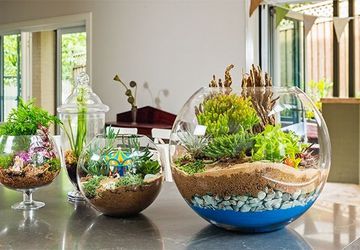 DIY Green Terrarium