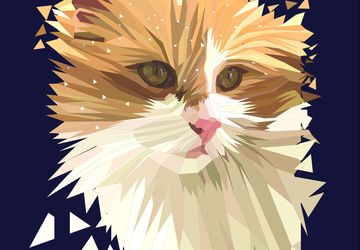 Custom Pet Portrait - Cat Portrait