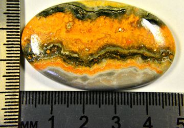 Bumblebee jasper cabochon