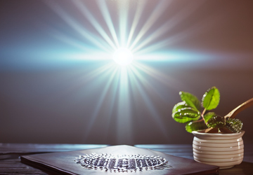 How to make a gift for conference speaker