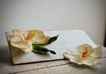 A souvenir postcard with orchid