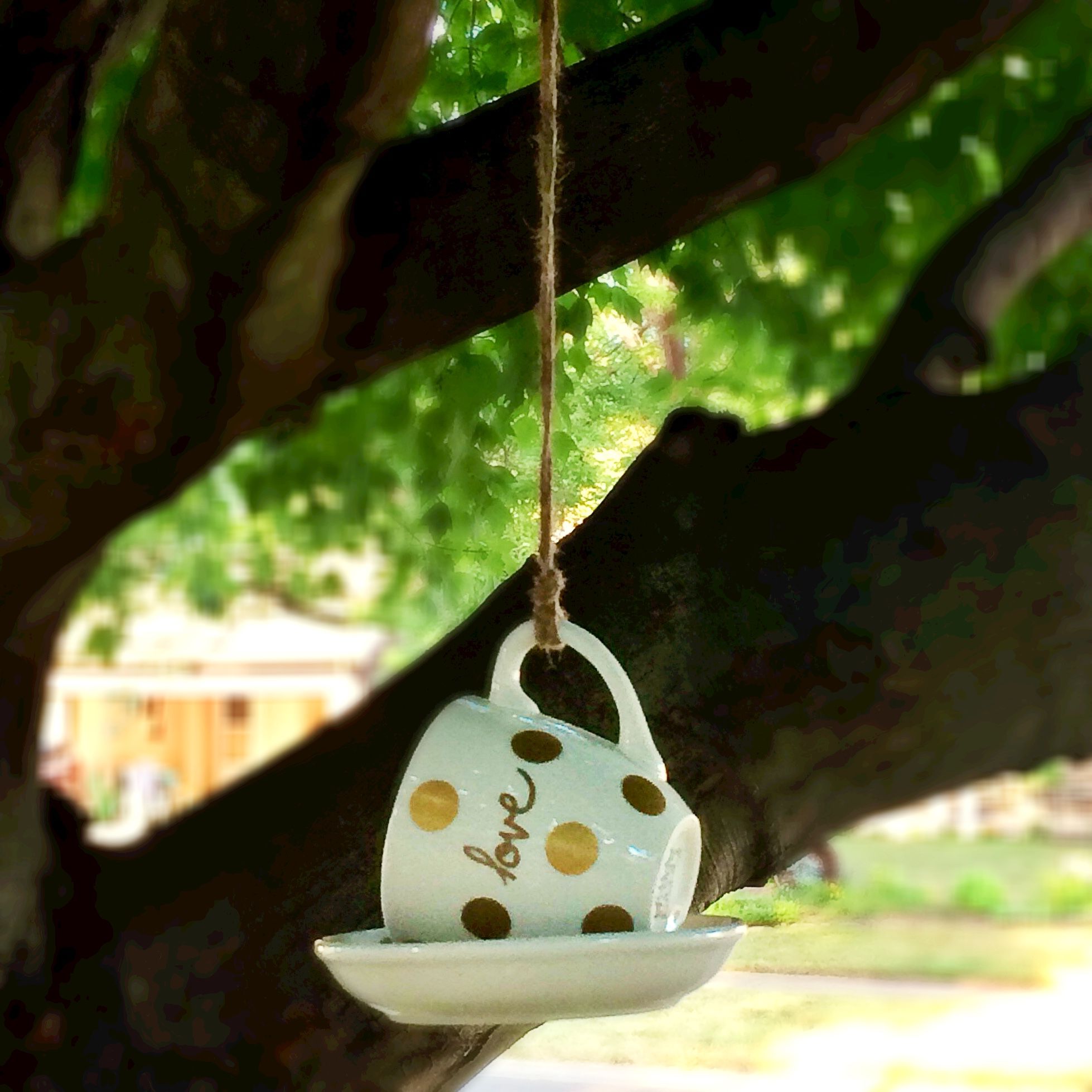 Teacup Bird Feeder Tea Cup Bird Feeder Birdfeeders Hanging Bird